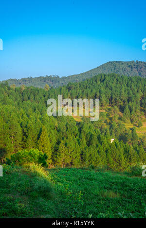Fattoria in Bageswar, Uttrakhand, India Foto Stock