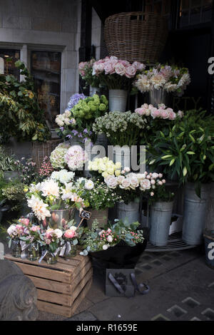 La colorata varietà di fiori venduti nel mercato di Londra. Foto Stock