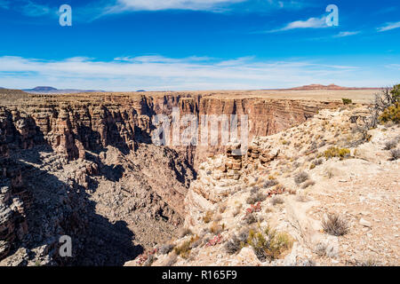 Little Colorado River Gorge, Arizona, Stati Uniti d'America Foto Stock