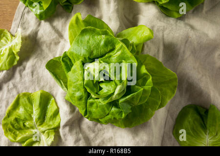 Materie organiche VERDE LATTUGA Burro pronto a mangiare Foto Stock