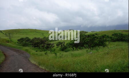 L'altra strada di Hana, Maui Foto Stock