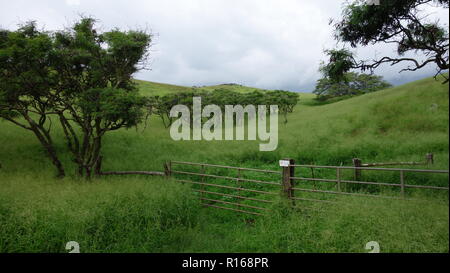 L'altra strada di Hana, Maui Foto Stock