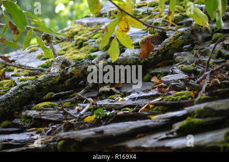 Campillo de Ranas, uno dei villaggi dei neri nella Sierra Norte de Guadalajara parco naturale, Spagna centrale Foto Stock