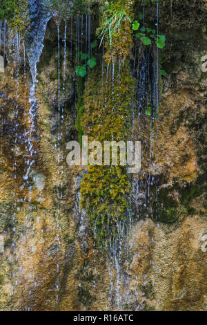 Moss acqua, rocce e licheni, Croazia, dei laghi di Plitvice Foto Stock