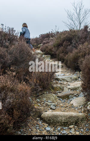 Camminando su Goatfell, Isle of Arran, Scozia Foto Stock