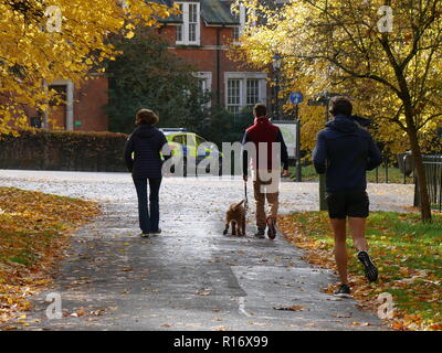 Pareggiatore e dog walkers a Hyde Park. Londra godendo il novembre pomeriggio di sole Foto Stock