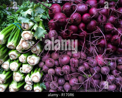 Fresca cellery organico e barbabietola al mercato degli agricoltori su Union Square di New York Foto Stock