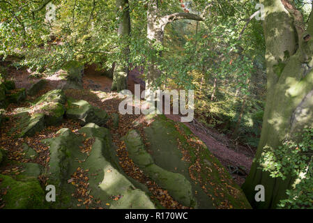 Autunno a Alderley Edge nella campagna del Cheshire, Inghilterra. Foto Stock