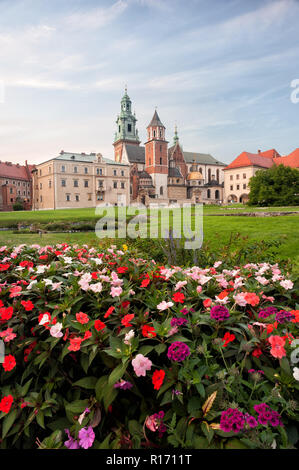 Il castello di Wawel, la cattedrale e il giardino al primo piano. Foto Stock