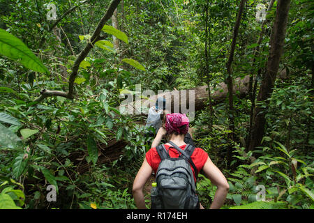 I turisti escursioni nella giungla profonda del parco nazionale di Khao Yai in Thailandia nella giungla profonda Foto Stock