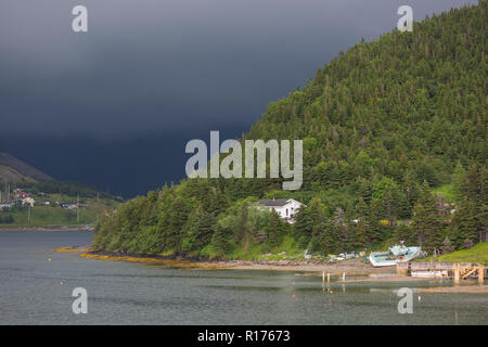 NORRIS PUNTO, Terranova, CANADA - Waterfront scena con le barche e gli edifici. Foto Stock