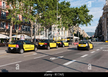I taxi parcheggiati in Taxi di Barcellona, Spagna Foto Stock
