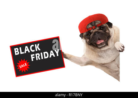 Frolic pug cucciolo di cane con cappuccio rosso, tenendo fino vendita firmare con il testo di colore Nero Venerdì, appeso lateralmente dal banner bianco, isolato Foto Stock