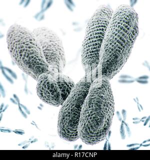 Close up di cromosomi XY su sfondo bianco. 3D'illustrazione. Foto Stock