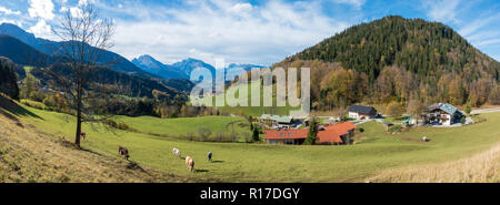 Burg Gutenfels castello affacciato sul Reno e Burg castello Pfalzgrafenstein prima dell'alba Foto Stock