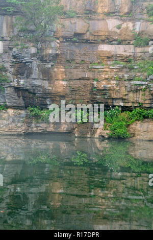 Scogliere di arenaria nella nebbia mattutina lungo il fiume Buffalo , Buffalo fiume nazionale- Pruitt's Landing, Arkansas, STATI UNITI D'AMERICA Foto Stock