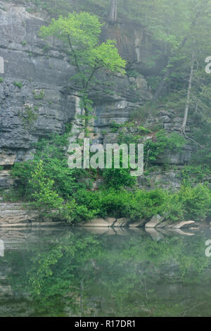 Scogliere di arenaria nella nebbia mattutina lungo il fiume Buffalo , Buffalo fiume nazionale- Pruitt's Landing, Arkansas, STATI UNITI D'AMERICA Foto Stock