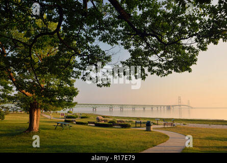 Albero di quercia che si affaccia su un parco sulla riva dello stretto di Mackinac, Lago Huron, con il ponte Mackinac, Mackinaw City, Michigan, Stati Uniti d'America Foto Stock