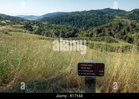 Vista sul Monte Bello spazio aperto conservare, Stevens Creek, Area della Baia di San Francisco, CA Foto Stock