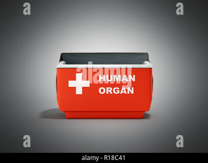 Aprire organo umano frigo box rosso 3d rendering su grigio Foto Stock