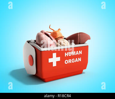 Trasporto organi concetto aperto organo umano frigo box rosso 3D render su sfondo blu Foto Stock