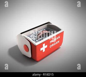 Trasporto organi concetto aperto organo umano frigo box rosso 3D render su sfondo grigio Foto Stock