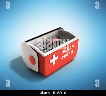 Trasporto organi concetto aperto organo umano frigo box rosso 3D render su sfondo blu Foto Stock