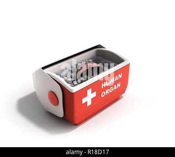 Trasporto organi concetto aperto organo umano frigo box rosso 3D render su sfondo bianco Foto Stock