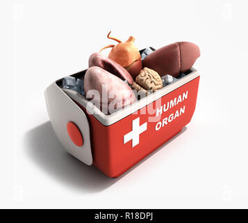 Trasporto organi concetto aperto organo umano frigo box rosso 3D render su sfondo bianco Foto Stock