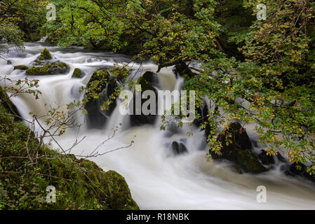 Il flusso onirico del fiume sopra Brathay Colwith vigore, Lake District, Cumbria, Regno Unito Foto Stock