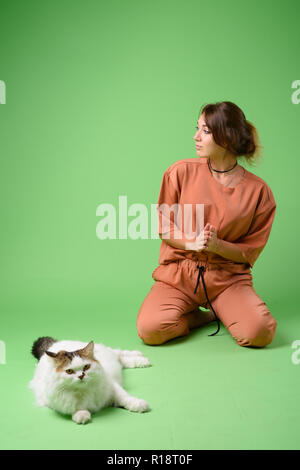 Studio shot del giovane bella donna con gatto persiano Foto Stock