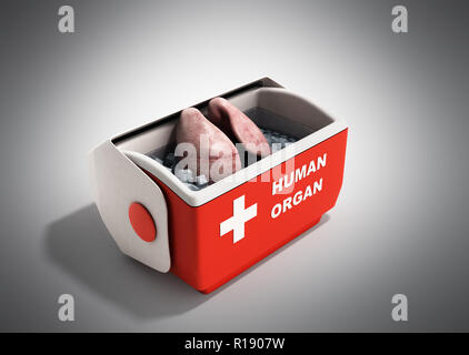 Trasporto organi concetto aperto organo umano frigo box rosso 3D render su sfondo grigio Foto Stock