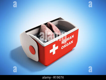 Trasporto organi concetto aperto organo umano frigo box rosso 3D render su sfondo blu Foto Stock