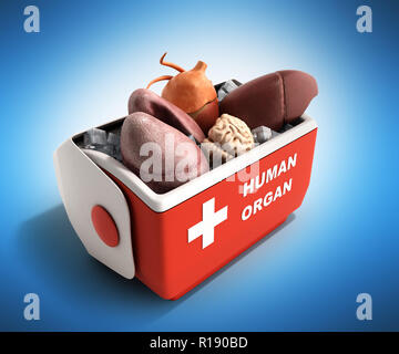 Trasporto organi concetto aperto organo umano frigo box rosso 3D render su sfondo blu Foto Stock