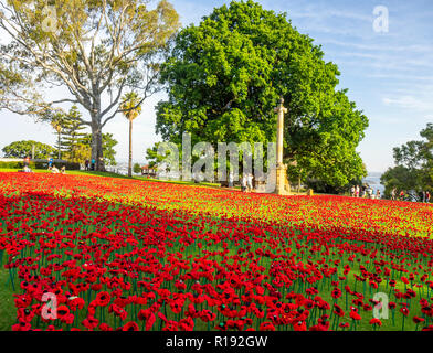 2018 Giorno del Ricordo di papavero display del progetto di papaveri artigianalmente in Kings Park Perth Western Australia Foto Stock