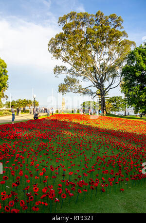 2018 Giorno del Ricordo di papavero display del progetto di papaveri artigianalmente in Kings Park Perth Western Australia Foto Stock