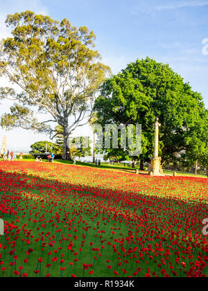 2018 Giorno del Ricordo di papavero display del progetto di papaveri artigianalmente in Kings Park Perth Western Australia Foto Stock