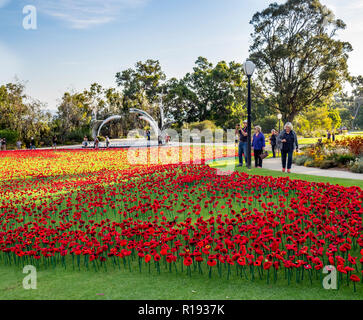 2018 Giorno del Ricordo di papavero display del progetto di papaveri artigianalmente in Kings Park Perth Western Australia Foto Stock