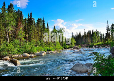 Enormi massi e rapide in che scorre veloce, seething, spruzzi di fiume di montagna tra le sponde coperto da fitti boschi di conifere a bright giornata di sole. Foto Stock