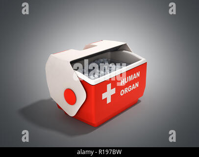 Aprire organo umano frigo box rosso 3d rendering su grigio Foto Stock