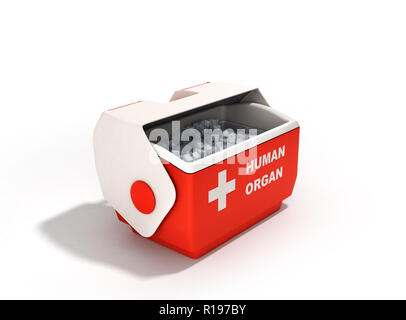 Aprire organo umano frigo box rosso 3d rendering su bianco Foto Stock