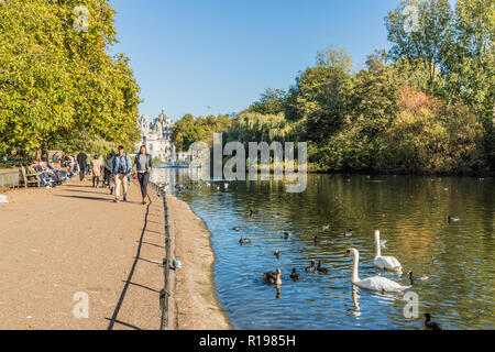 Londra. Novembre 2018. Una vista in St James Park a Londra Foto Stock