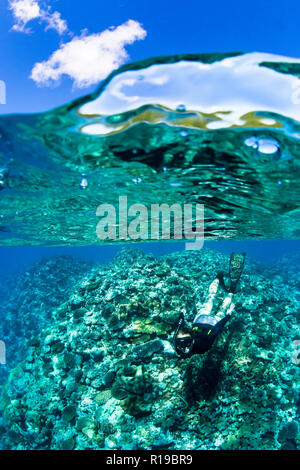 Il snorkeling sulle scogliere incontaminate sulla remota Isola di Alofi nel territorio francese di Wallis e Futuna. Foto Stock