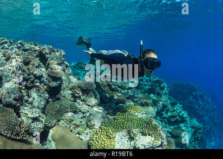 Il snorkeling sulle scogliere incontaminate sulla remota Isola di Alofi nel territorio francese di Wallis e Futuna. Foto Stock