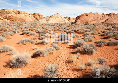 Rainbow Vista sentiero nella Valle del Fuoco parco dello stato del Nevada Foto Stock