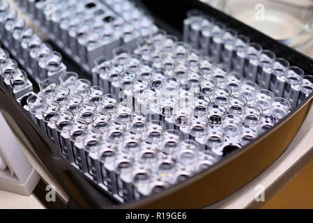 Recipienti di laboratorio con le analisi per la ricerca medica Foto Stock