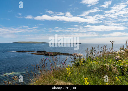 Vista Egilsay dalla cliff walk on Rousay Foto Stock