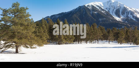 Paesaggio invernale delle montagne innevate in un giorno chiaro. Il concetto di viaggio, vedute panoramiche di picchi rocciosi e pendii con la foresta di conifere. Foto Stock