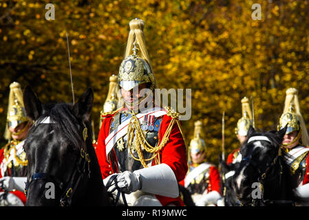 Vita delle guardie della cavalleria della famiglia reggimento montato nel signore sindaco di mostrare Parade, London, Regno Unito 2018 Foto Stock