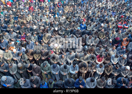 Novembre 10, 2018 - Pulwama, Jammu e Kashmir India - i musulmani del Kashmir sono visti pregare per Liyakat Ahmed durante il suo corteo funebre al suo villaggio natale di Pulwama.Migliaia di persone hanno partecipato ai funerali preghiere dei due militanti che sono stati uccisi in uno scontro a fuoco con le forze di governo nel sud del Kashmir del distretto di Pulwama 40km dalla capitale estiva Srinagar. I militanti, secondo l Ispettore generale di polizia, Kashmir gamma, SP Pani, sono stati uccisi in un 'molto breve'' sparatoria nel villaggio Tikken. Credito: Idrees Abbas SOPA/images/ZUMA filo/Alamy Live News Foto Stock